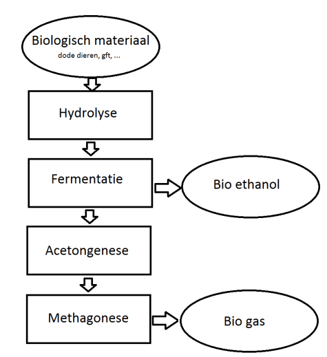 flowchartbio